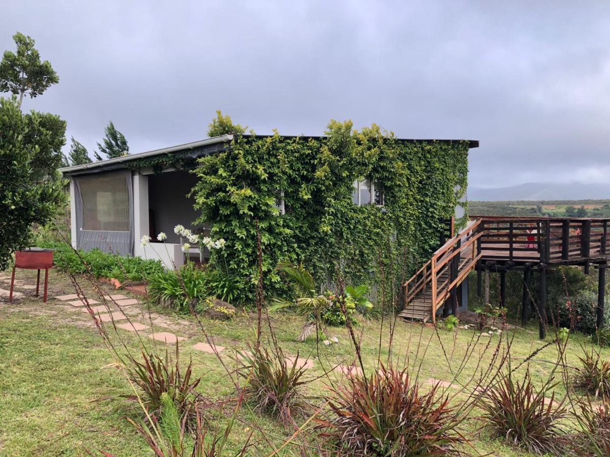 Rainforest Ridge Eco Resort The Crags Exterior photo