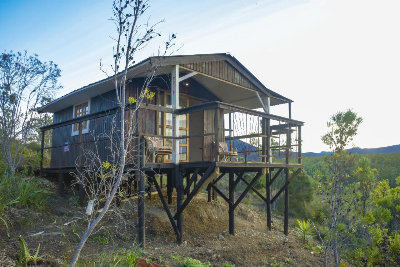 Rainforest Ridge Eco Resort The Crags Exterior photo
