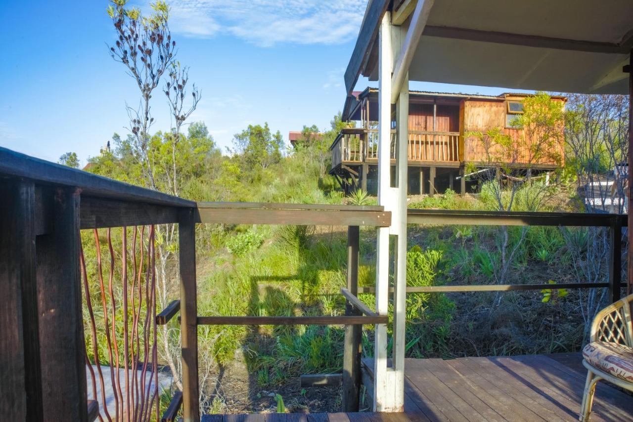 Rainforest Ridge Eco Resort The Crags Exterior photo